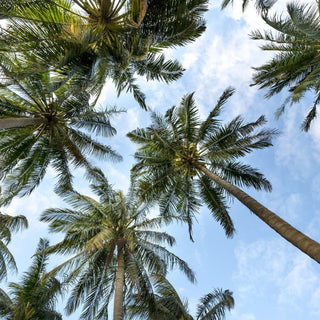 Beauty mythes - zon & reiniging