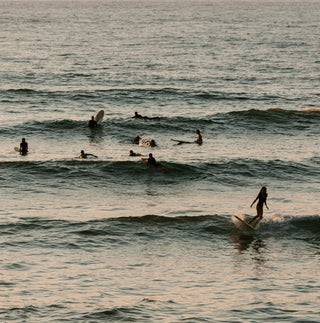 Laboratoires de Biarritz - Bio'ty Lab