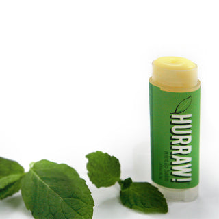 Lipbalm - Munt - Biotylab_byTheSurf