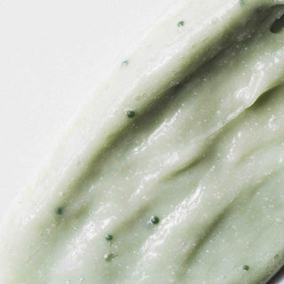 Matcha Scrub shampoo - all hair types
