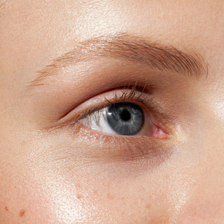The brow pencil