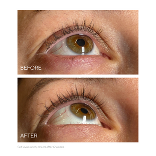 Peptide Lash Serum