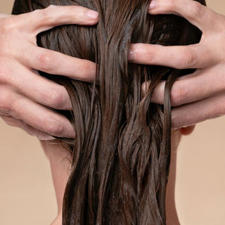 Argan Oil Conditioner - Herstellend