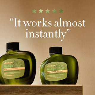 Repair & Nourish Contitioner - Fig+Feijoa