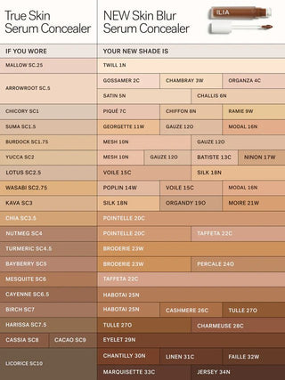 Skin Blur Serum Concealer