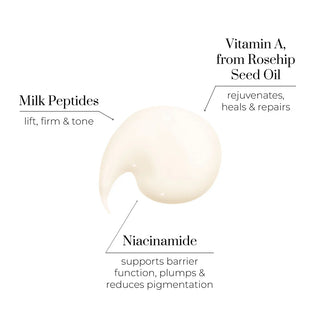 Nutri Active Day Cream - eerste rimpels - Bio'ty Lab