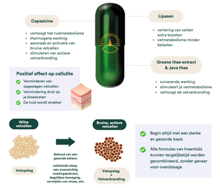 Fat Burner Vitamins - nieuwe formule