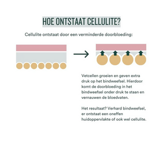 Fat Burner Vitamins - nieuwe formule