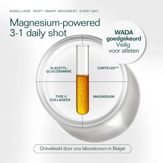 J-Magneflex II