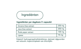 Fat Burner - Bio'ty Lab