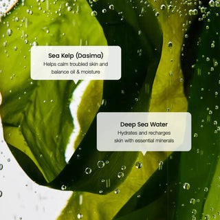 Biodance - Sea Kelp Serum