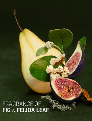 Repair & Nourish Shampoo - Fig+Feijoa