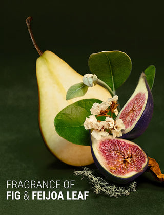 Repair & Nourish Contitioner - Fig+Feijoa