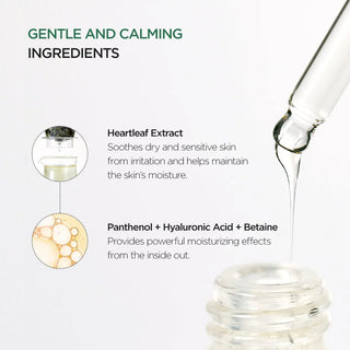 Anua - Heartleaf 80% moisture serum