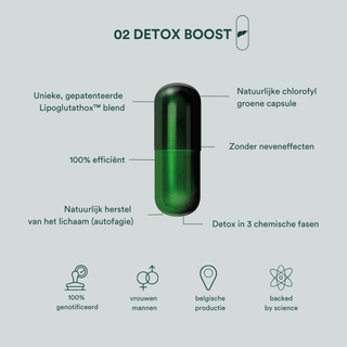 Vitamines Detox Boost - Chardon-Marie/Choline/Artichaut
