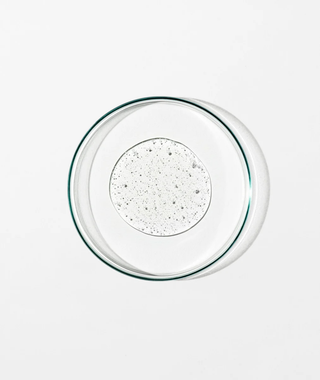Body Cleanser - Chamomile, Bergamot, Rose