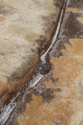 The Mushroom Gua Sha