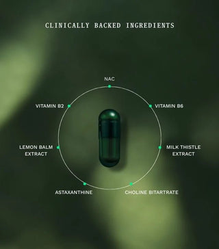 PACK Gut Repair Day & Night