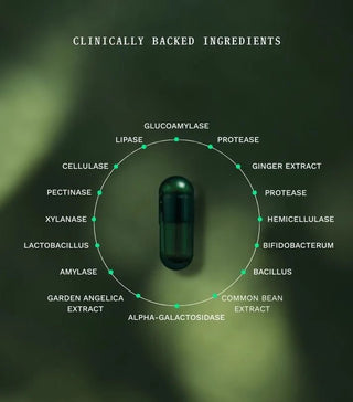 PACK Gut Repair Day & Night